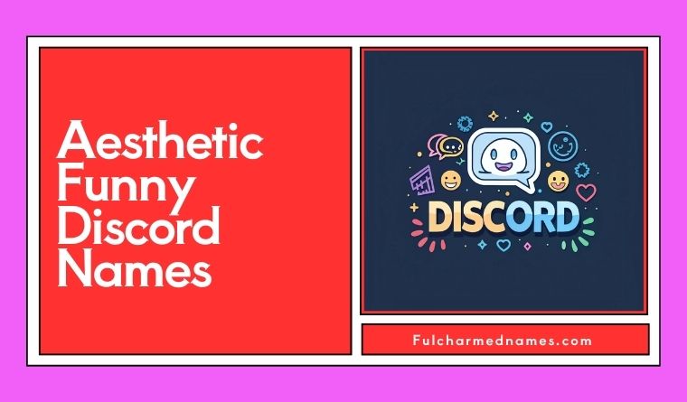 Aesthetic Funny Discord Names