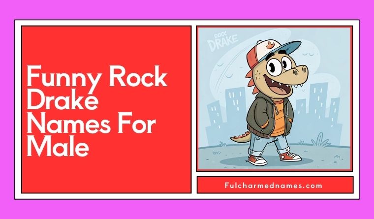 Funny Rock Drake Names For Male