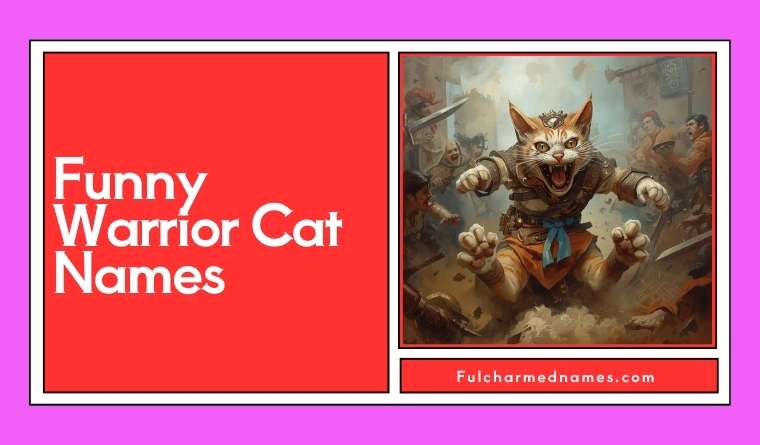 Funny Warrior Cat Names