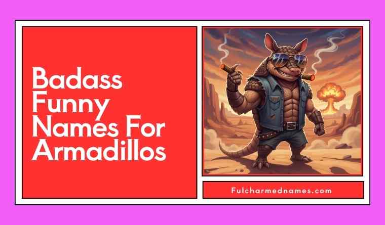 Badass Funny Names For Armadillos