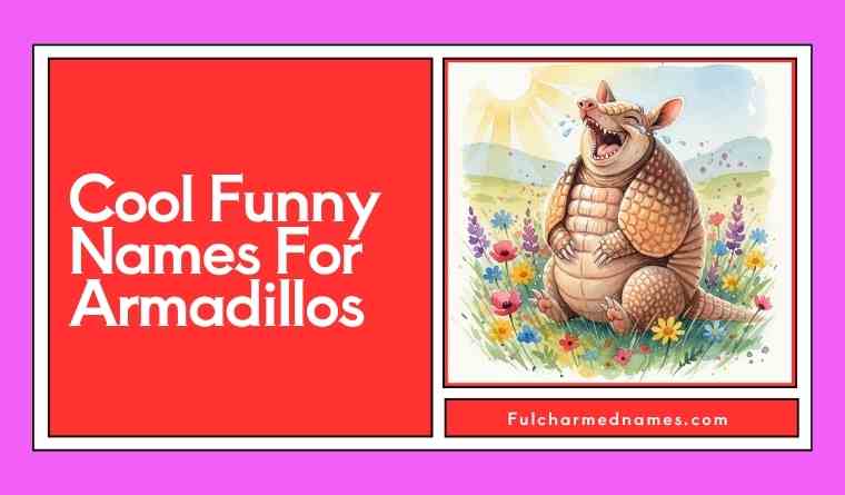 Cool Funny Names For Armadillos