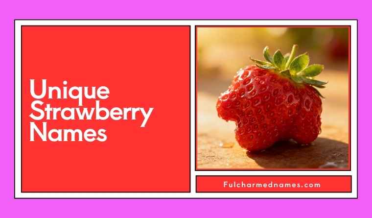 Unique Strawberry Names
