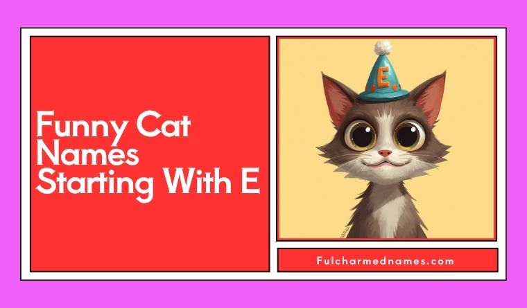 Funny Cat Names Starting With E