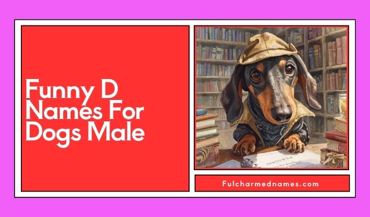 Funny D Names For Dogs Male