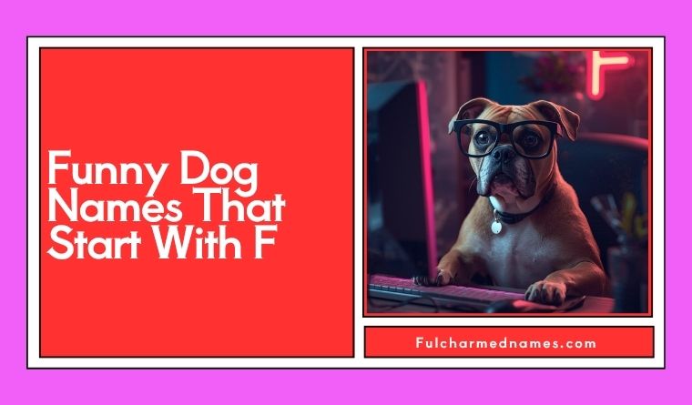 Funny Dog Names That Start With F