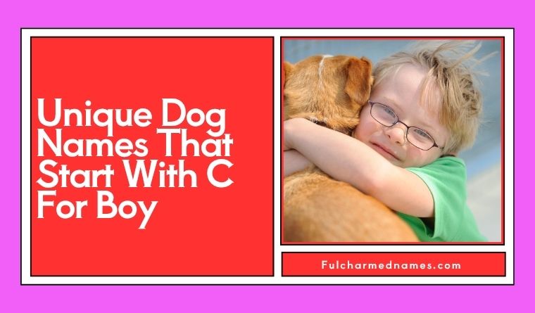 Unique Dog Names That Start With C For Boy