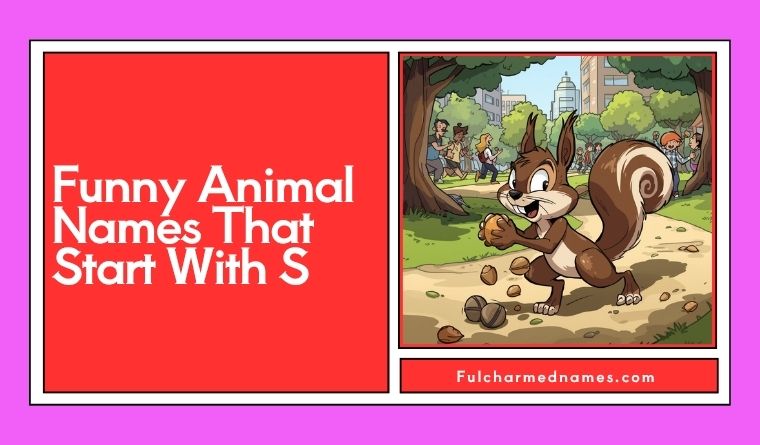Funny Animal Names That Start With S