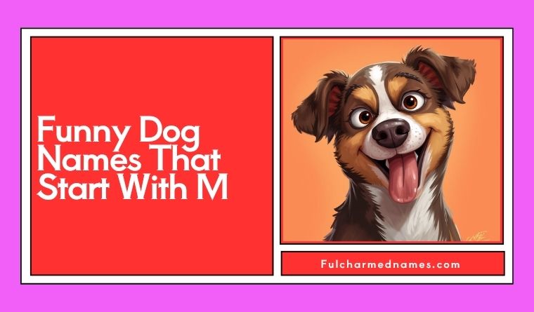 Funny Dog Names That Start With M
