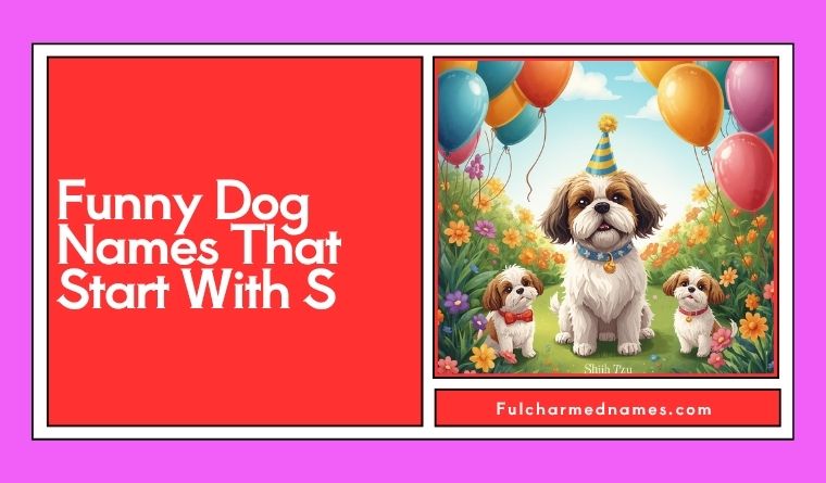 Funny Dog Names That Start With S