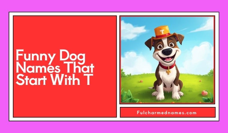 Funny Dog Names That Start With T