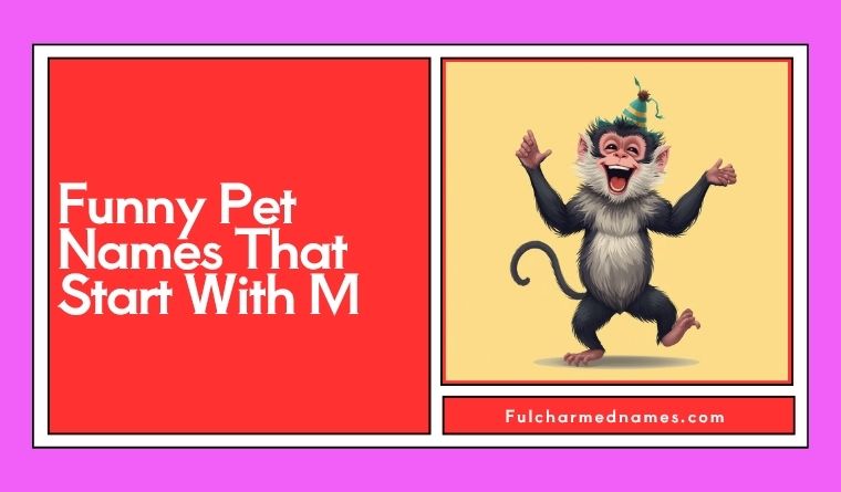 Funny Pet Names That Start With M