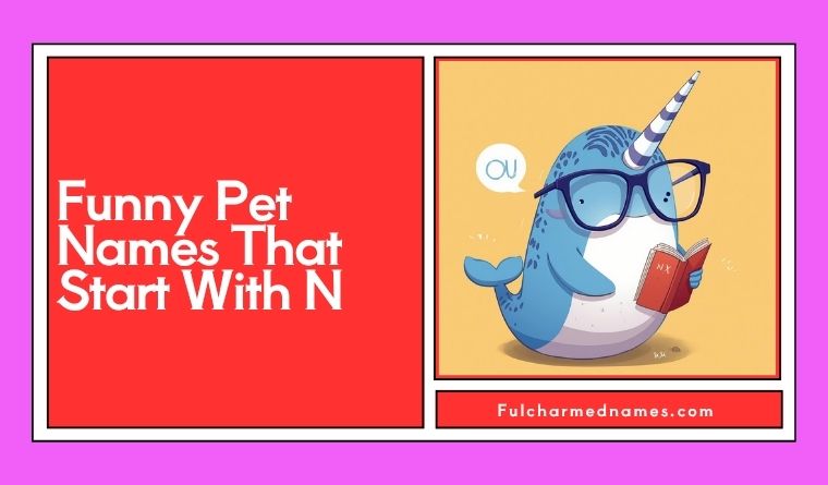 Funny Pet Names That Start With N