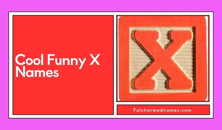 Cool Funny X Names