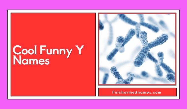Cool Funny Y Names