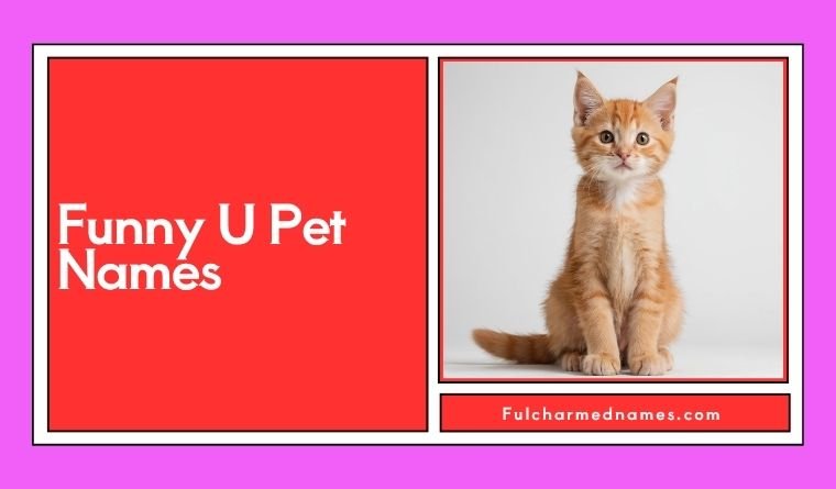 Funny U Pet Names