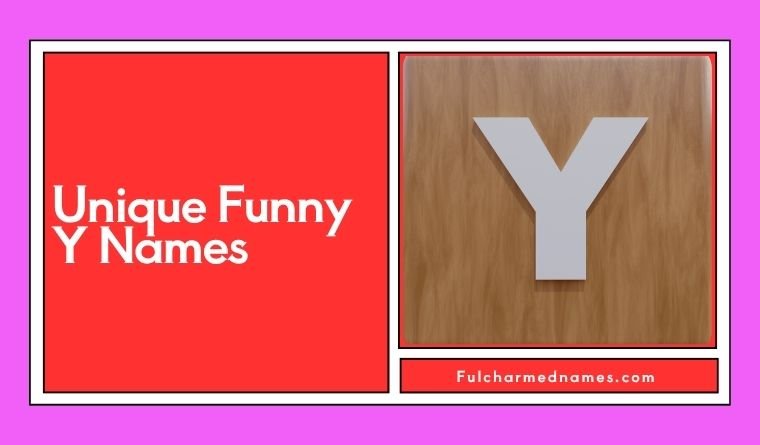 Unique Funny Y Names