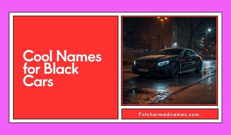 Cool Names for Black Cars