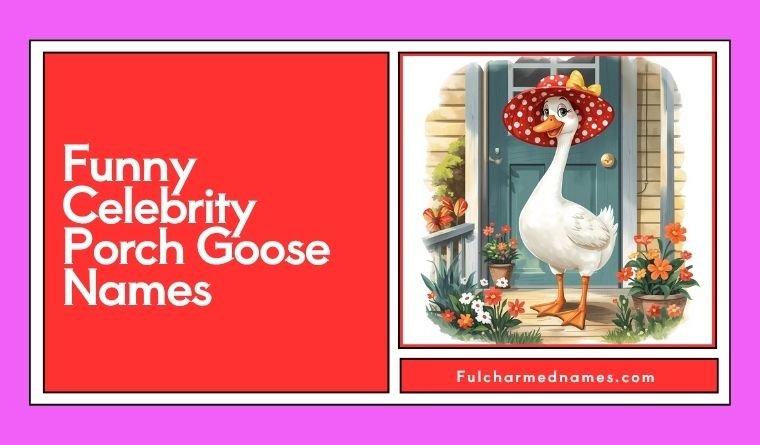 Funny Celebrity Porch Goose Names