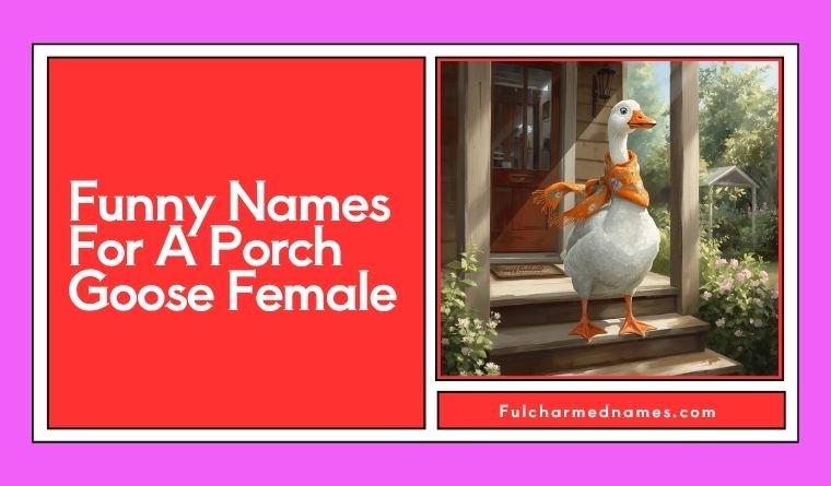 Funny Names For A Porch Goose Female