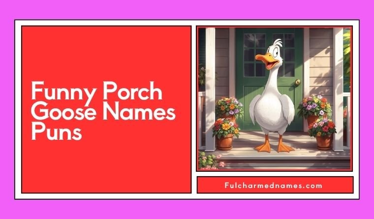 Funny Porch Goose Names Puns