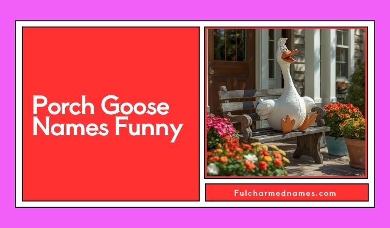 Porch Goose Names Funny