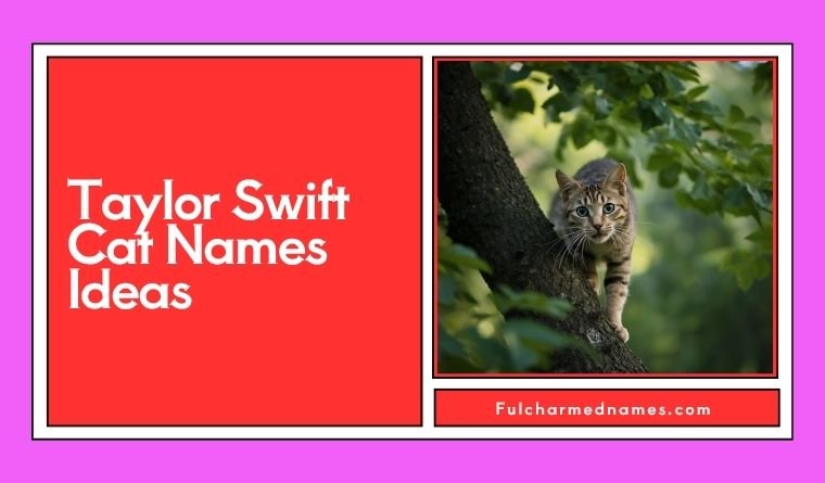 Taylor Swift Cat Names Ideas