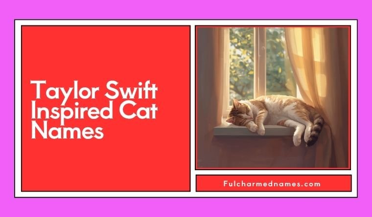 Taylor Swift Inspired Cat Names