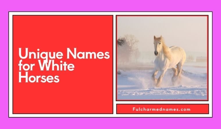 Unique Names for White Horses