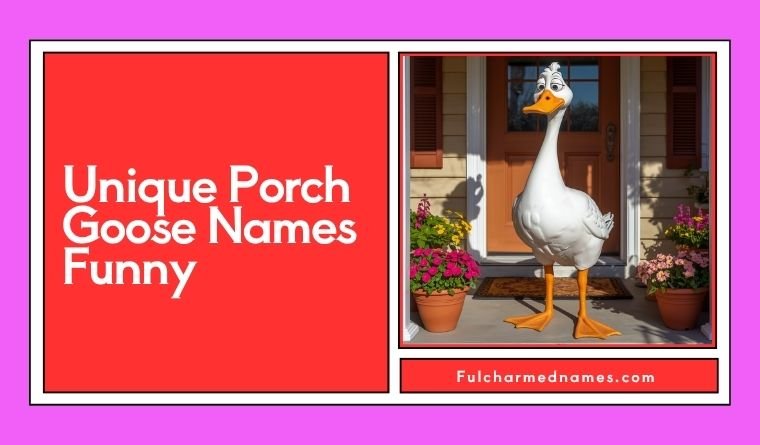 Unique Porch Goose Names Funny