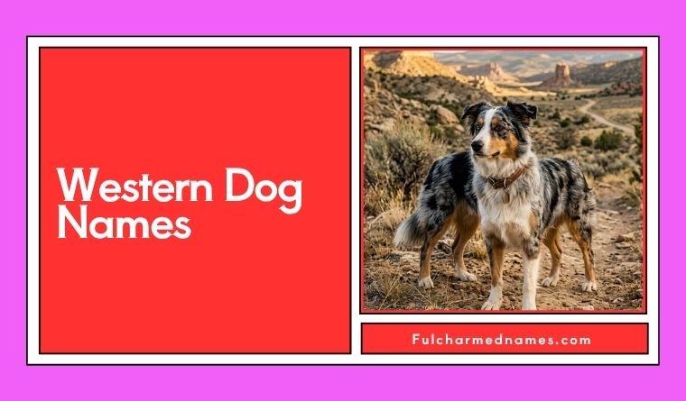 Western Dog Names