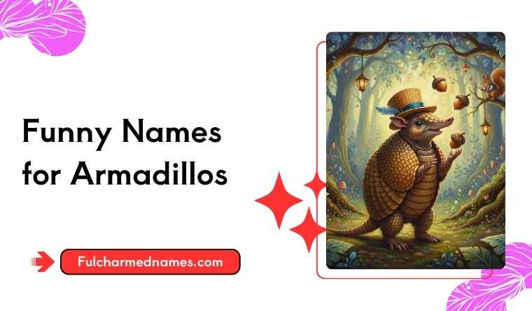 Funny Names for Armadillos