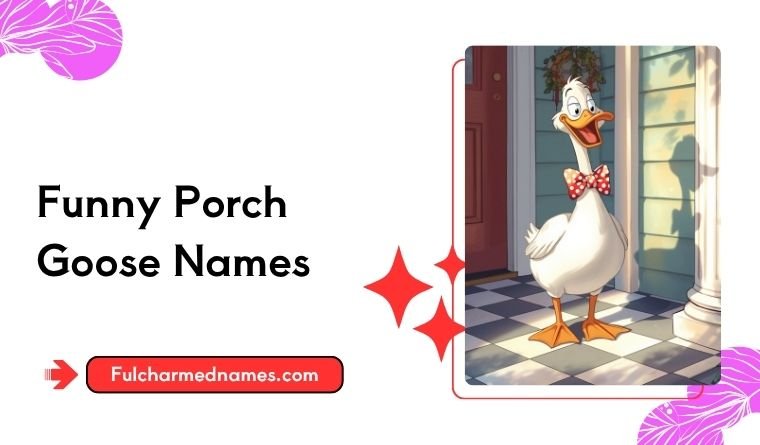Funny Porch Goose Names