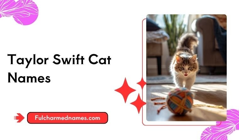 Ultimate Taylor Swift Cat Names: 180 Adorable & Iconic Picks