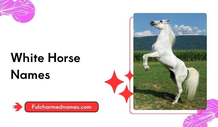 White Horse Names